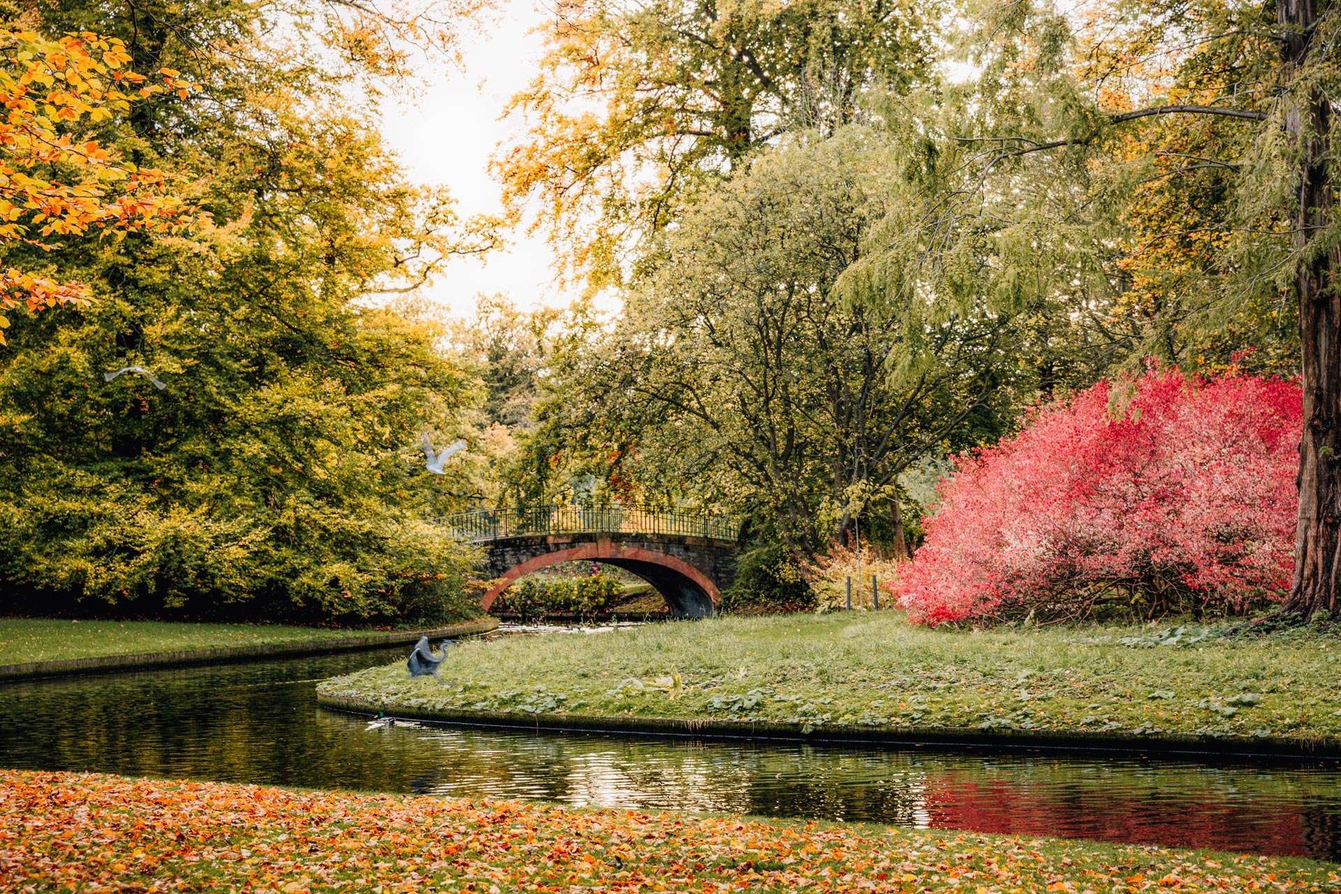 Frederiksberg Have i efteråret