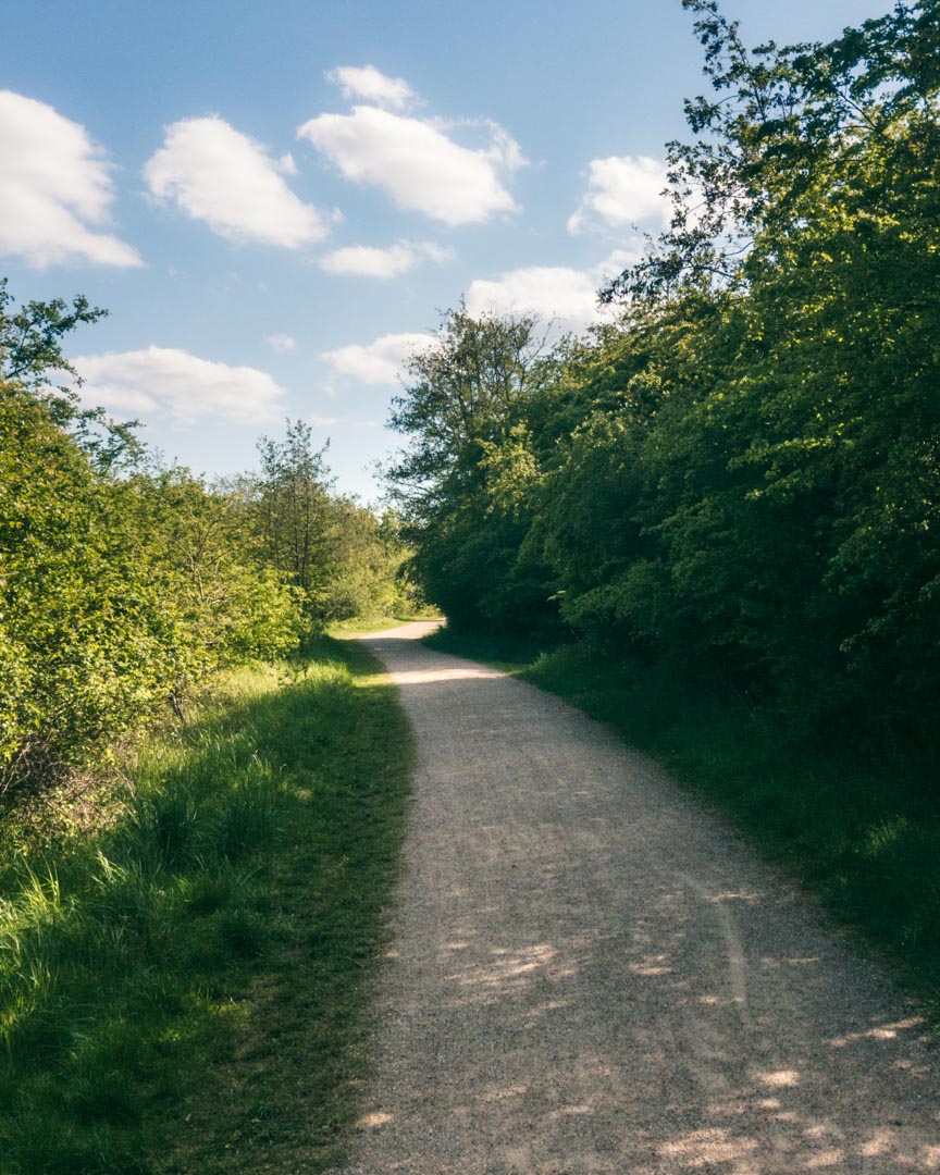 Løb i skånske skove