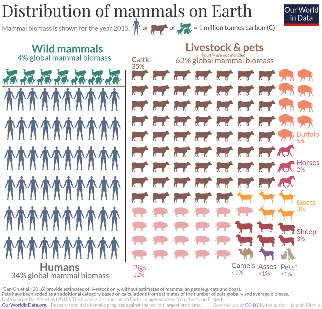 Fordelingen af pattedyr på jorden